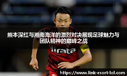 LOL押注正规平台
